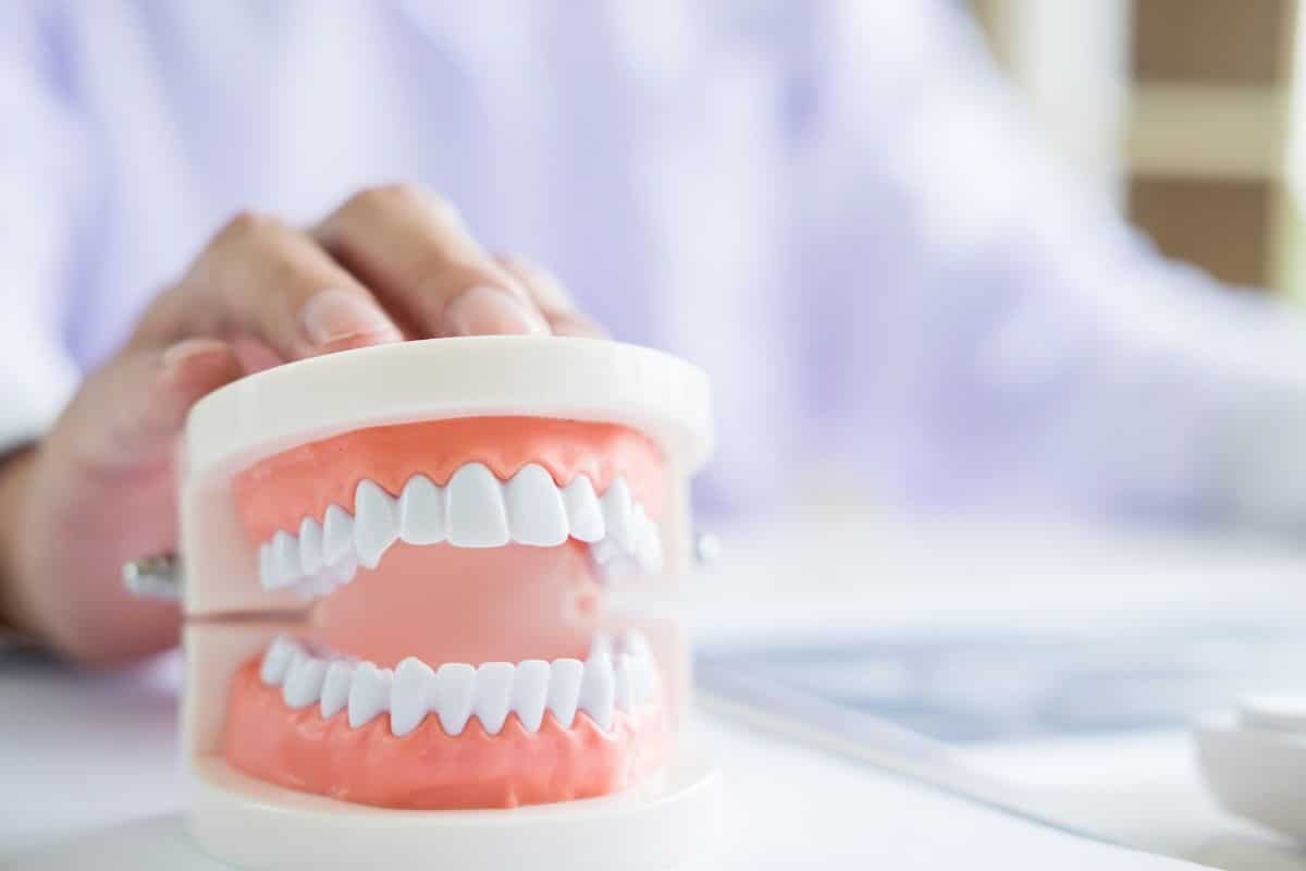 Dental model showing upper and lower dentures with white teeth held by dentist in Corpus Christi.