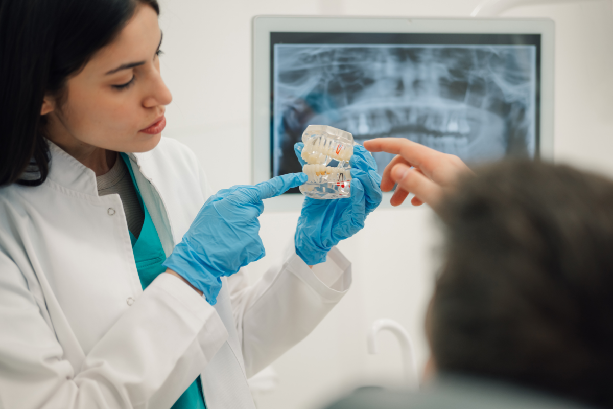 Dentist examining transparent dental model showing teeth anatomy with X-ray display in background.